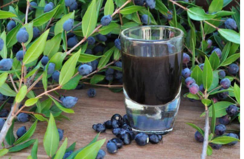 Liquore di mirto